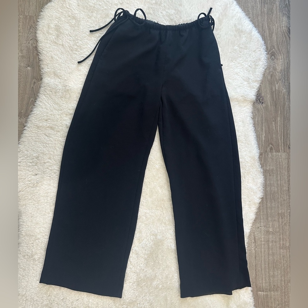 Aritzia Artisan Pant Crepette